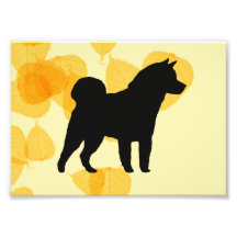 Akita Gold Leaves Art Photo