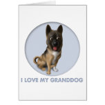 Akita Granddog
