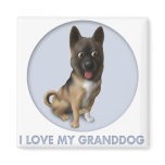 Akita Granddog