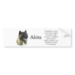 Akita Inu Trivia Bumper Sticker