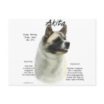 Akita (pinto) History Design
