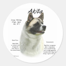 Akita (pinto) History Design Sticker