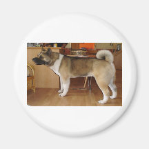 Akita Refrigerator Magnet