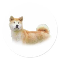Akita Round Stickers