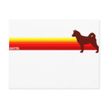 Akita With Stripes Postcard