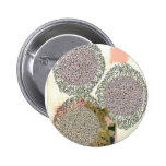 AKO (2) BADGES