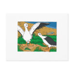 Al & Ally Albatross Postcard