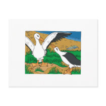 Al & Ally Albatross Postcard