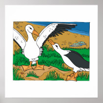 Al & Ally Albatross Print