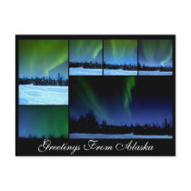 Alaksa Aurora Collage Postcard