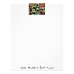 Alaska-  custom letterhead