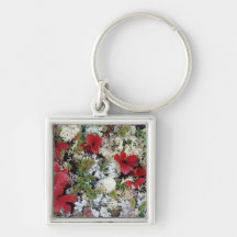 Alaska, Denali National Park, Arctic tundra is Keychain