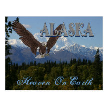 Alaska Denali National Park Mount McKinley Card Postcards