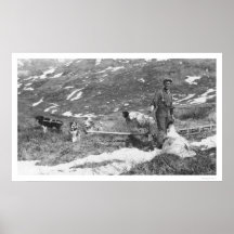 Alaska Dog Team Hunting 1912 Posters