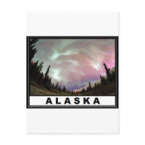 Alaska Great Postcard