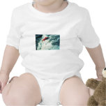 Alaska Salmon T-shirts