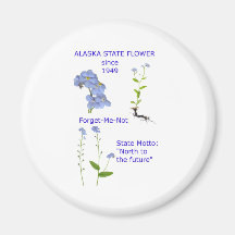 Alaska State Flower Magnets