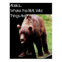 Alaska...Where the real wild things are 3-D postca Postcards