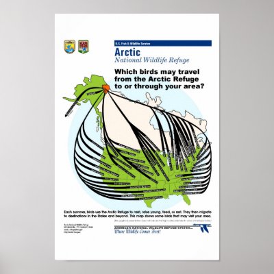 Alaskan Bird Migrations Print by moxieann