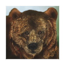 Alaskan Brown Bear Gallery Wrapped Canvas