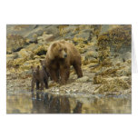 Alaskan Brown Bear with cubs Greeting Card