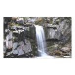 Alaskan Jungle Waterfall Rectangular Stickers