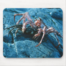 Alaskan King Crab Mouse Pad