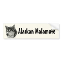 Alaskan Malamute Bumper Stickers