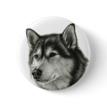 Alaskan Malamute Pinback Buttons