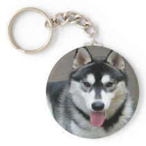 Alaskan Malamute Dog Photograph Key Chain