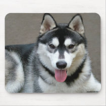 Alaskan Malamute Dogs mousepads