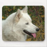 Alaskan Malamute Dogs Mouse Mat