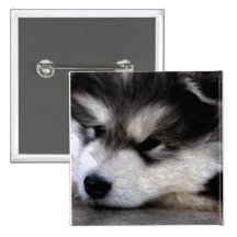 Alaskan Malamute Pin