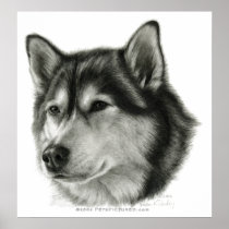 Alaskan Malamute Poster Print