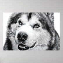 ALASKAN MALAMUTE POSTERS