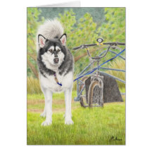 Alaskan Malamute Ready To Race Card