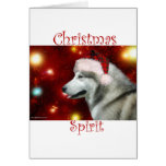 Alaskan Malamute Spirit Cards