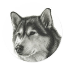 Alaskan Malamute Sticker