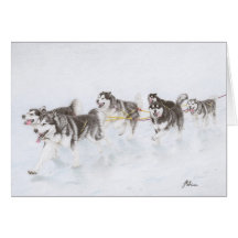 Alaskan Malamute team running through snow Greeting Card