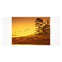 Alaskan Morning Photo Card
