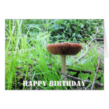 alaskan shroom greeting card