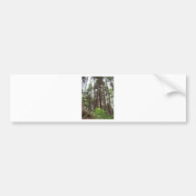 Alaskan Trees Bumper Stickers