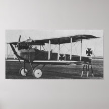 Albatros C.I Posters