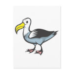 Albatross Bird Post Card