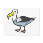 Albatross Bird Postcards
