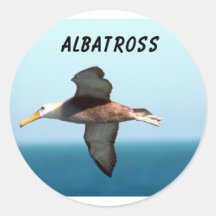 Albatross Flying Stickers