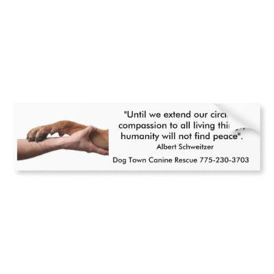 Albert Schweitzer quote Bumper Sticker by dogtownrescue