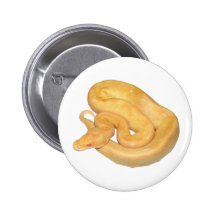 Albino Champagne Pinback Button