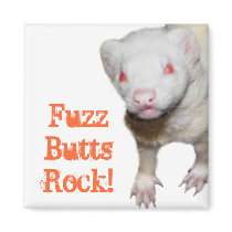 Albino Ferret Picture Magnets