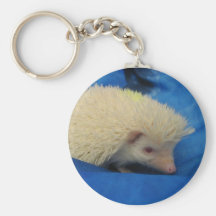albino hedgehog keychain